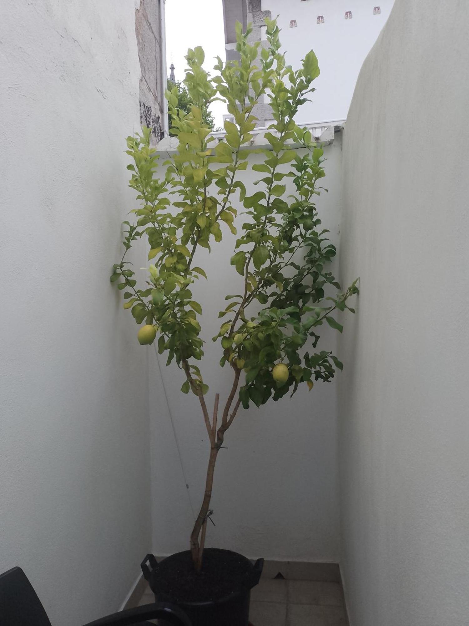 Atalaya Apartment มุนดากา ภายนอก รูปภาพ